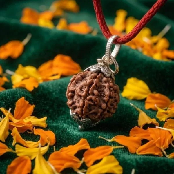 7 Mukhi (2).webp