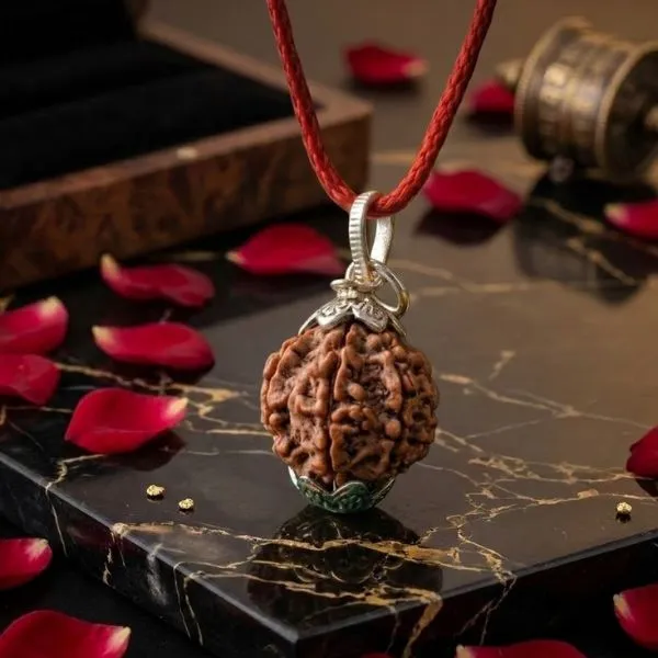 Authentic 7 Mukhi Nepali Rudraksha | Original Saat Mukhi Rudraksh