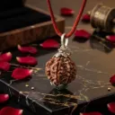 Authentic 7 Mukhi Nepali Rudraksha | Original Saat Mukhi Rudraksh